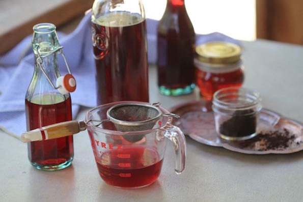 Tasmanian pepperberry Infusions