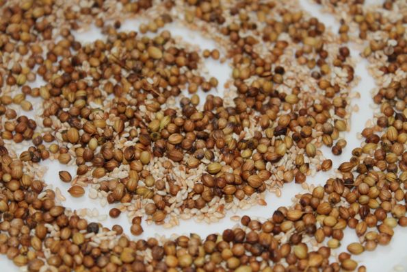 Toasted Coriander and Sesame
