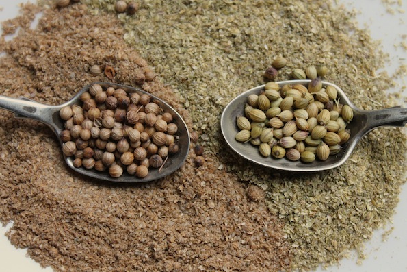 European and Indian Coriander