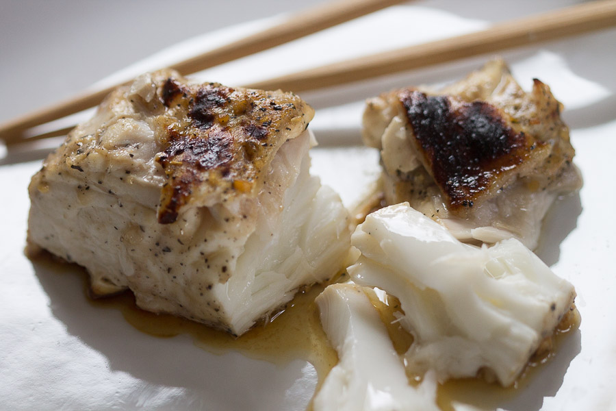 miso marinated halibut