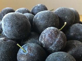 Plums