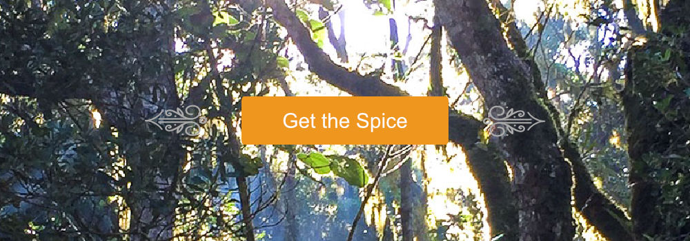 Get the Spice- Voatsiperifery